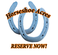 Link to reserve Now page